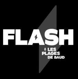 logo_flash