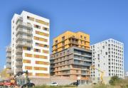 cayenne-et-woodlodge-et-Ikone---septembre-2024---fh-8GFrogne